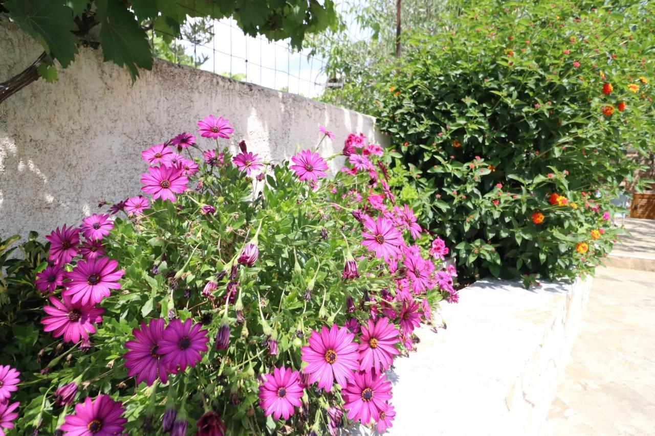 Villa Juli Ksamil Exterior foto